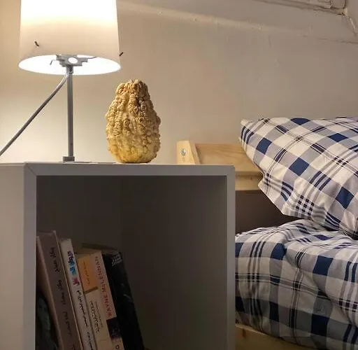 Homey Apt. With Beautiful View